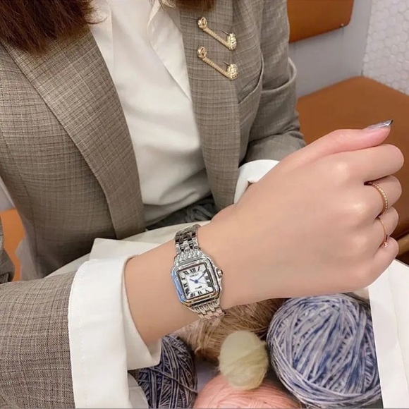 Pathere Silver Watch - Picture 2 of 13